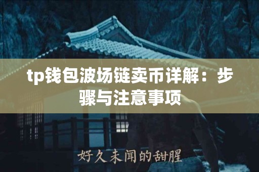 tp钱包波场链卖币详解：步骤与注意事项