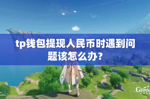 tp钱包提现人民币时遇到问题该怎么办？
