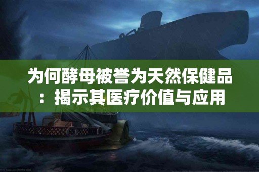 为何酵母被誉为天然保健品：揭示其医疗价值与应用