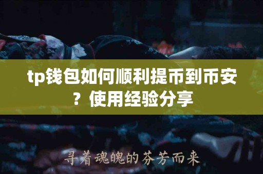 tp钱包如何顺利提币到币安？使用经验分享