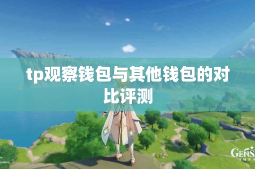 tp观察钱包与其他钱包的对比评测