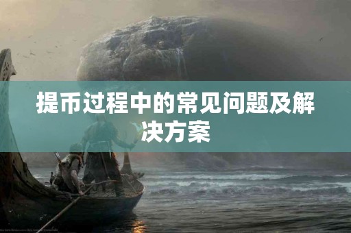 提币过程中的常见问题及解决方案