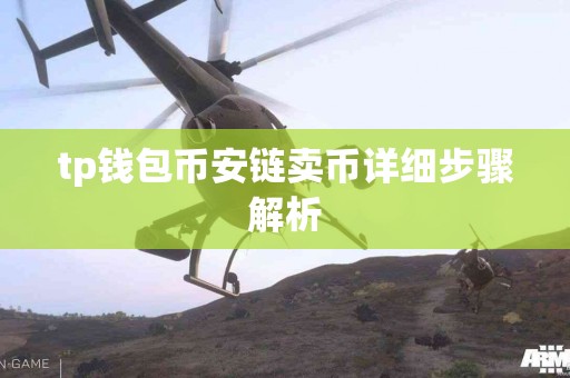 tp钱包币安链卖币详细步骤解析