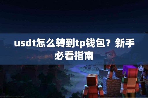 usdt怎么转到tp钱包？新手必看指南