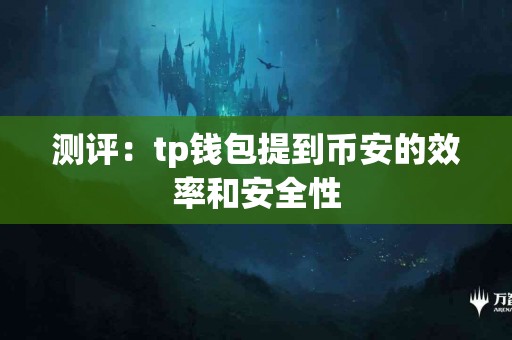 测评：tp钱包提到币安的效率和安全性