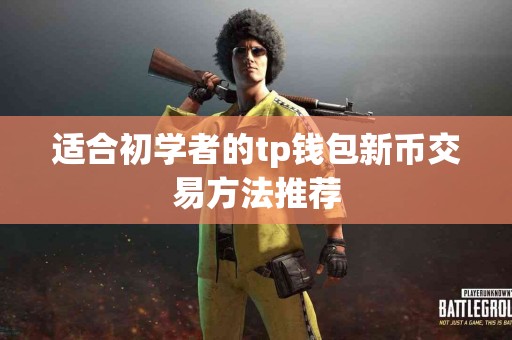 适合初学者的tp钱包新币交易方法推荐