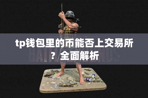 tp钱包里的币能否上交易所？全面解析