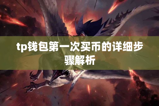 tp钱包第一次买币的详细步骤解析
