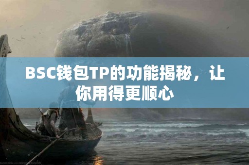 BSC钱包TP的功能揭秘，让你用得更顺心