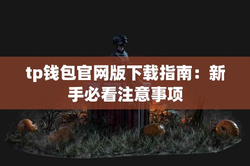tp钱包官网版下载指南：新手必看注意事项