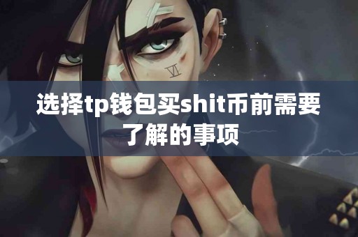 选择tp钱包买shit币前需要了解的事项