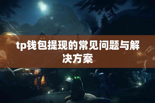 tp钱包提现的常见问题与解决方案