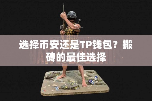 选择币安还是TP钱包？搬砖的最佳选择