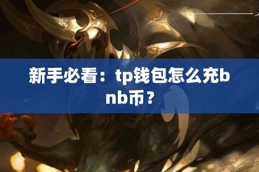 新手必看：tp钱包怎么充bnb币？
