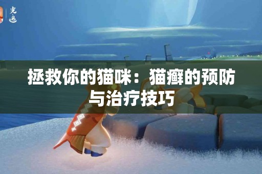 拯救你的猫咪：猫癣的预防与治疗技巧