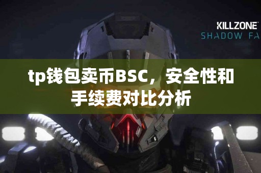 tp钱包卖币BSC，安全性和手续费对比分析