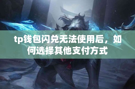 tp钱包闪兑无法使用后，如何选择其他支付方式