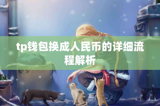 tp钱包换成人民币的详细流程解析