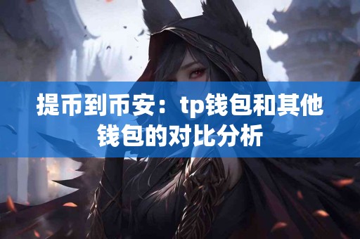 提币到币安：tp钱包和其他钱包的对比分析