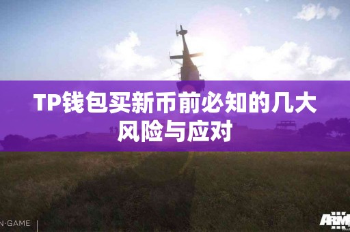 TP钱包买新币前必知的几大风险与应对