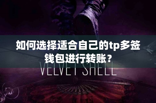 如何选择适合自己的tp多签钱包进行转账？