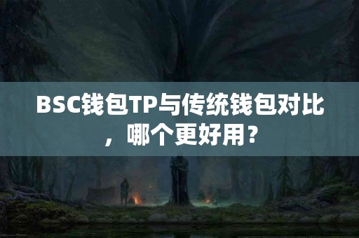 BSC钱包TP与传统钱包对比，哪个更好用？