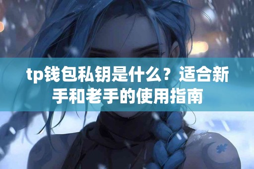 tp钱包私钥是什么？适合新手和老手的使用指南