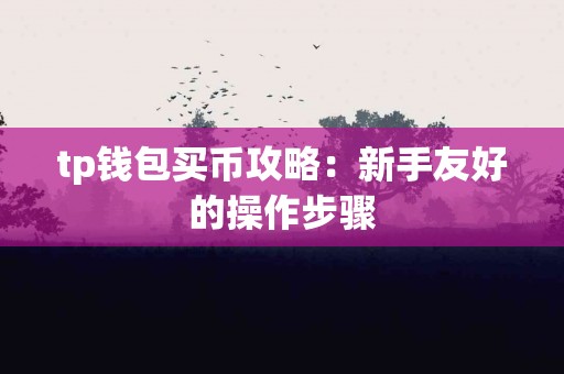 tp钱包买币攻略：新手友好的操作步骤