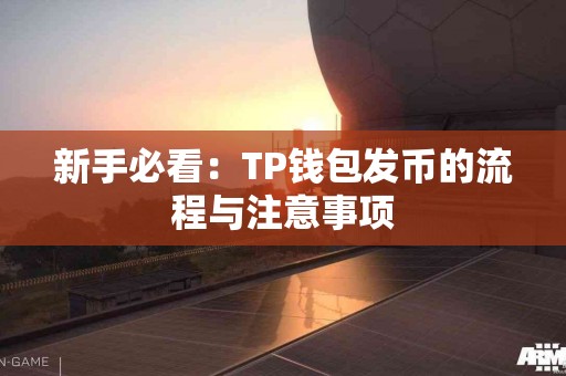 新手必看：TP钱包发币的流程与注意事项