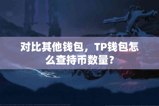 对比其他钱包，TP钱包怎么查持币数量？