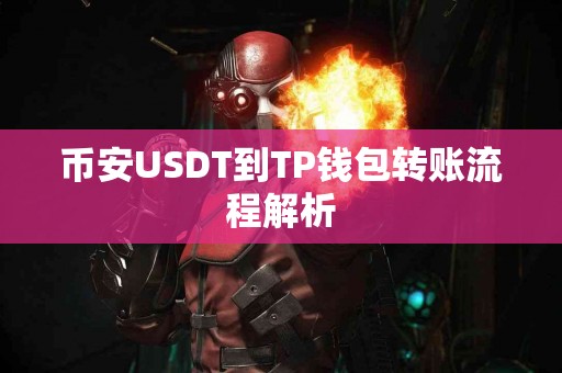 币安USDT到TP钱包转账流程解析