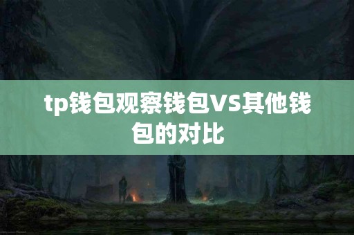 tp钱包观察钱包VS其他钱包的对比