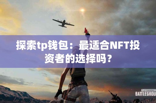 探索tp钱包：最适合NFT投资者的选择吗？