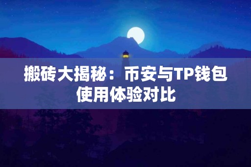 搬砖大揭秘：币安与TP钱包使用体验对比