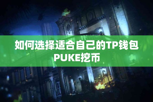 如何选择适合自己的TP钱包PUKE挖币