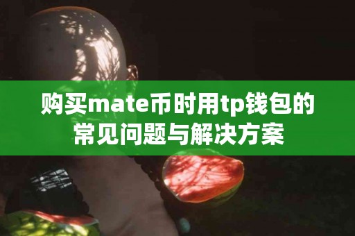 购买mate币时用tp钱包的常见问题与解决方案