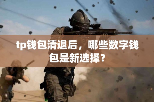 tp钱包清退后，哪些数字钱包是新选择？