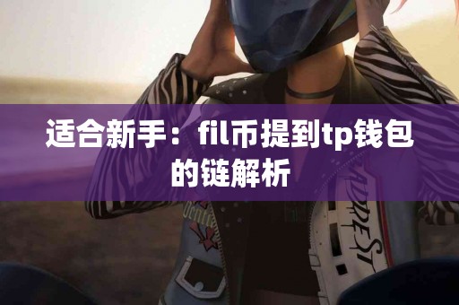 适合新手：fil币提到tp钱包的链解析