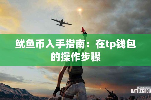 鱿鱼币入手指南：在tp钱包的操作步骤