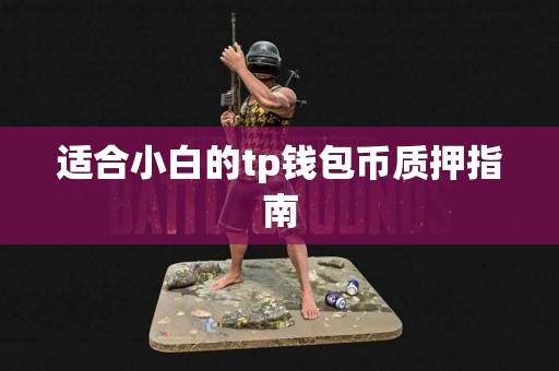 适合小白的tp钱包币质押指南