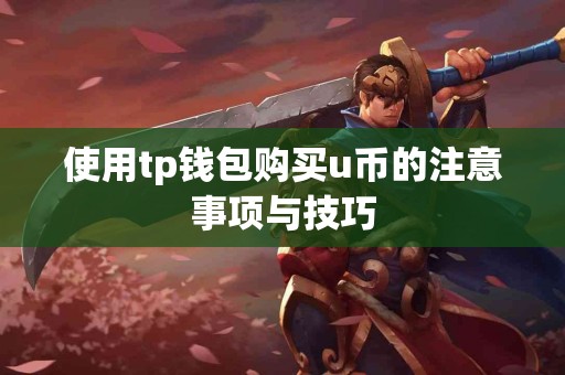 使用tp钱包购买u币的注意事项与技巧