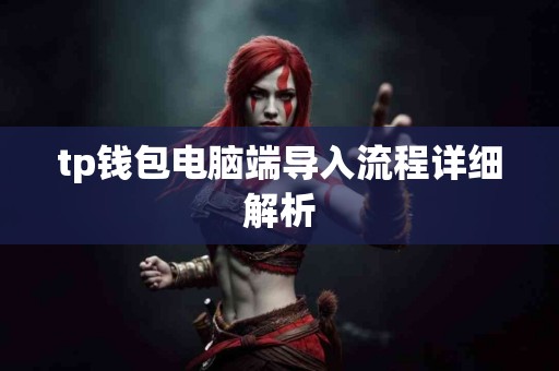 tp钱包电脑端导入流程详细解析