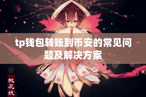 tp钱包转账到币安的常见问题及解决方案